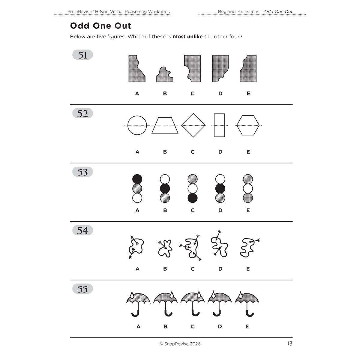 11+ Non-Verbal Reasoning Workbook