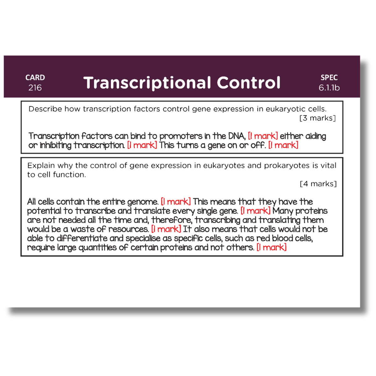 A-Level OCR Biology Complete Revision Card Bundle