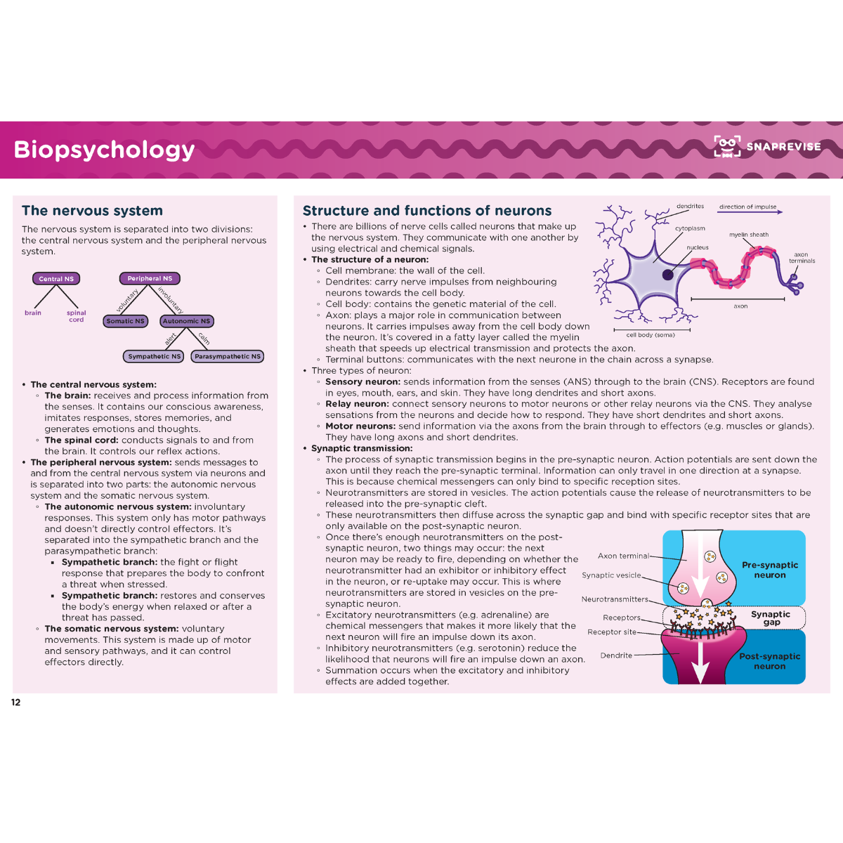 A-Level Psychology AQA Summary Notes