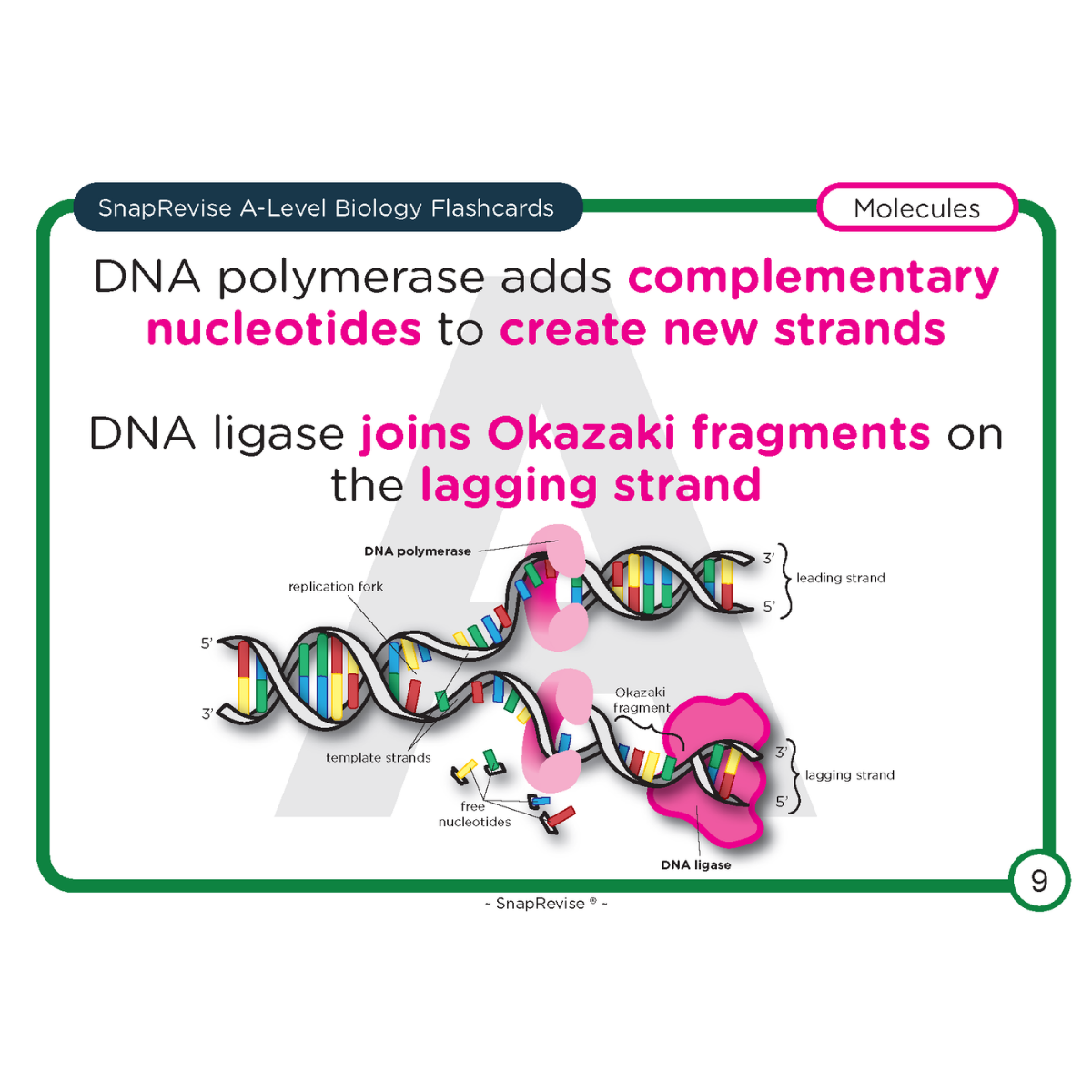 A-Level Biology Flashcards Pack 1