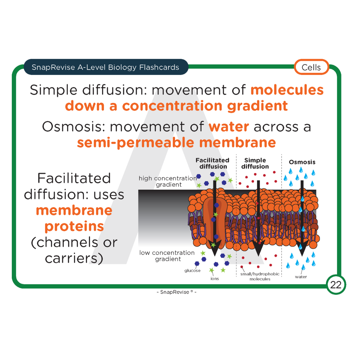 A-Level Biology Flashcards Pack 1