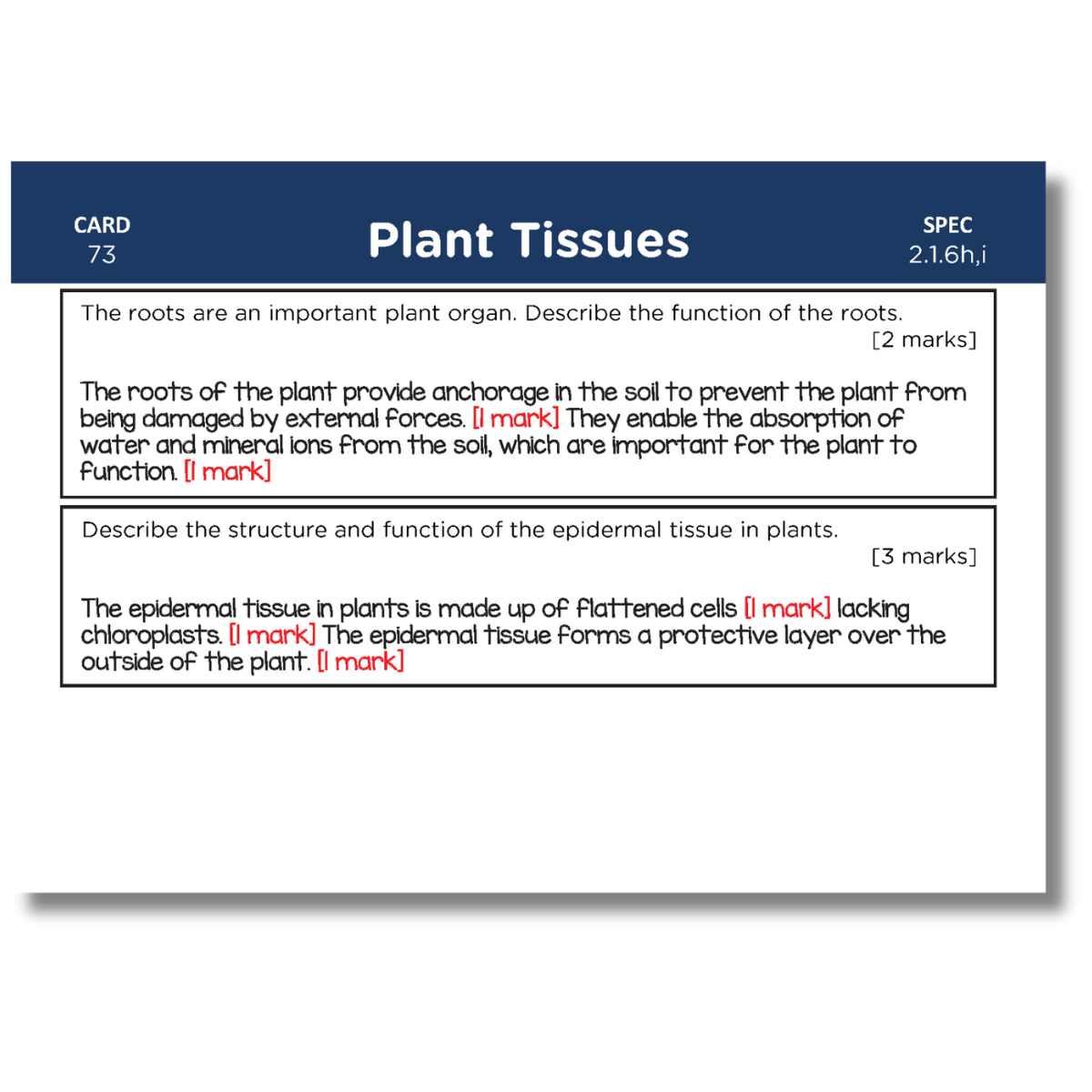 A-Level OCR Biology Revision Cards: Pack 1 of 2 (Modules 2-4)