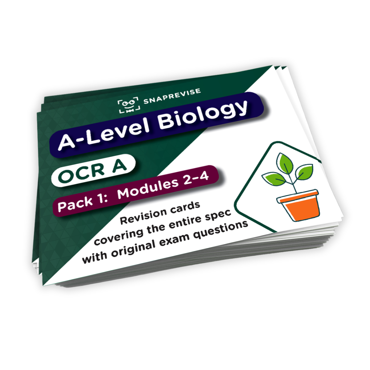 A-Level OCR Biology Complete Revision Card Bundle