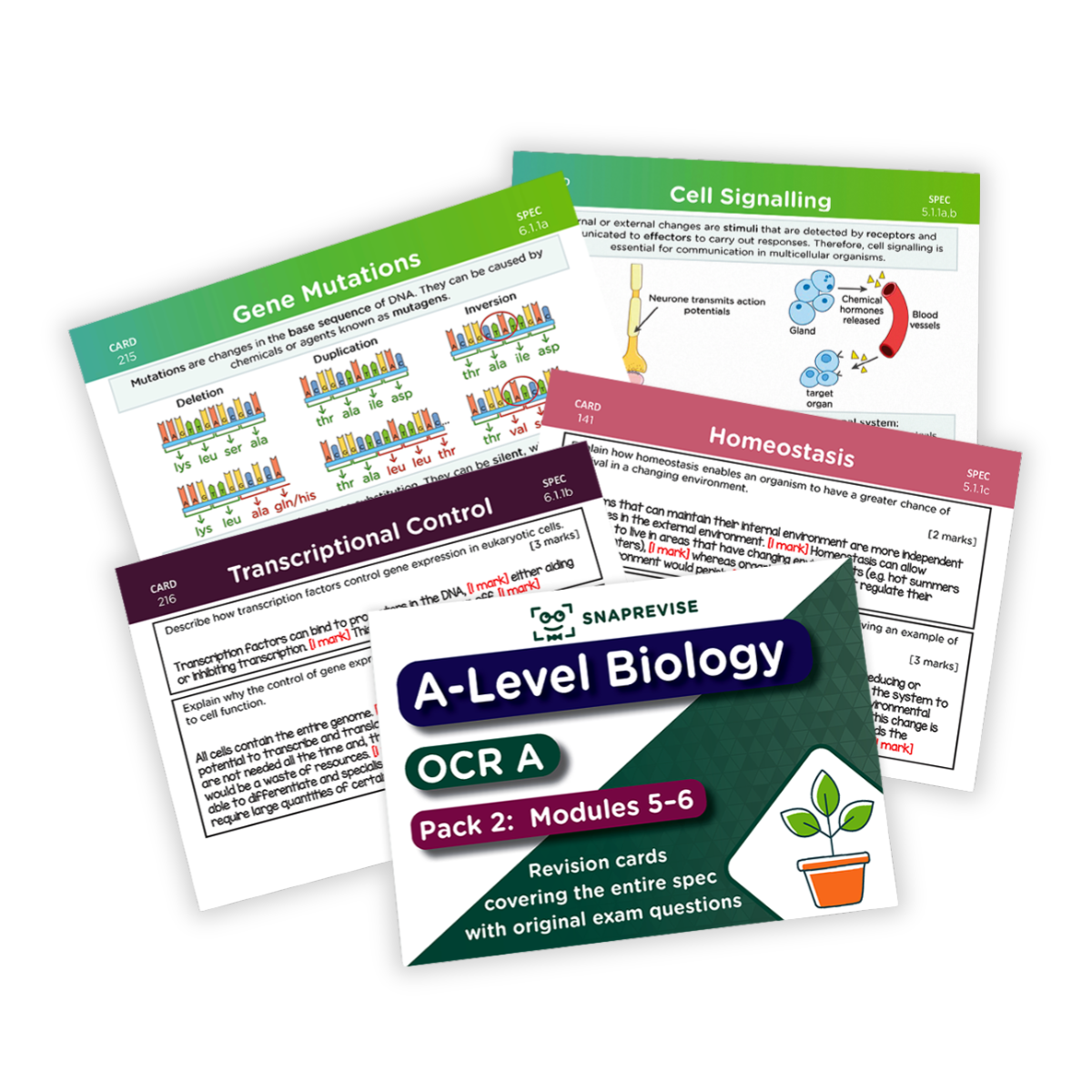 A-Level OCR Biology Complete Revision Card Bundle