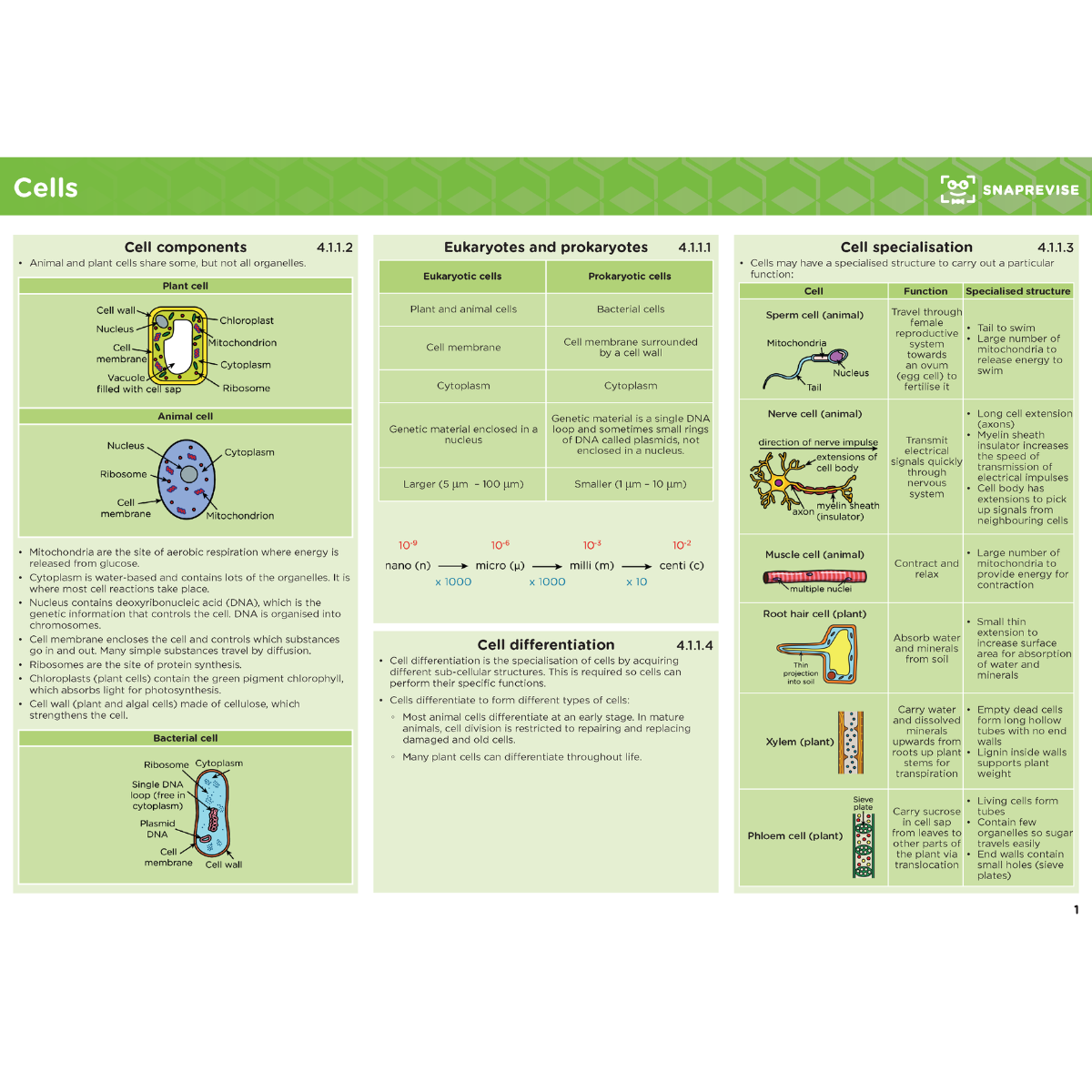 GCSE AQA Biology Summary Sheets Higher