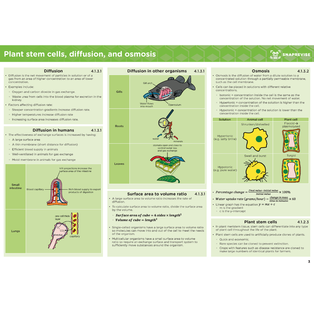 GCSE AQA Biology Summary Sheets Higher