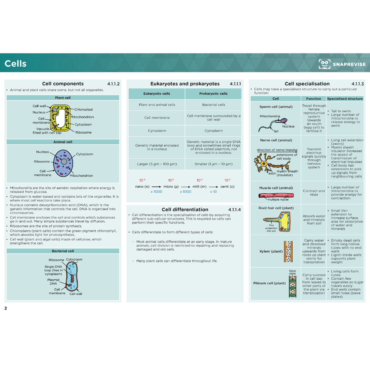 GCSE AQA Combined Science Summary Sheets Higher