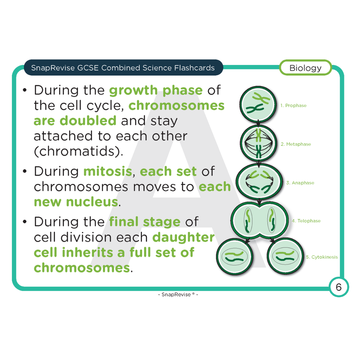 GCSE Combined Science Foundation Flashcards