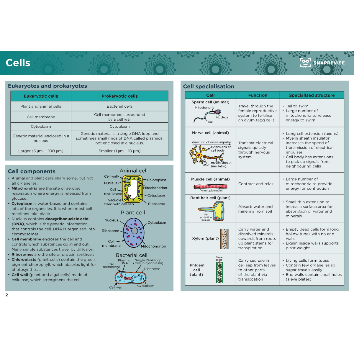GCSE Combined Science Summary Notes