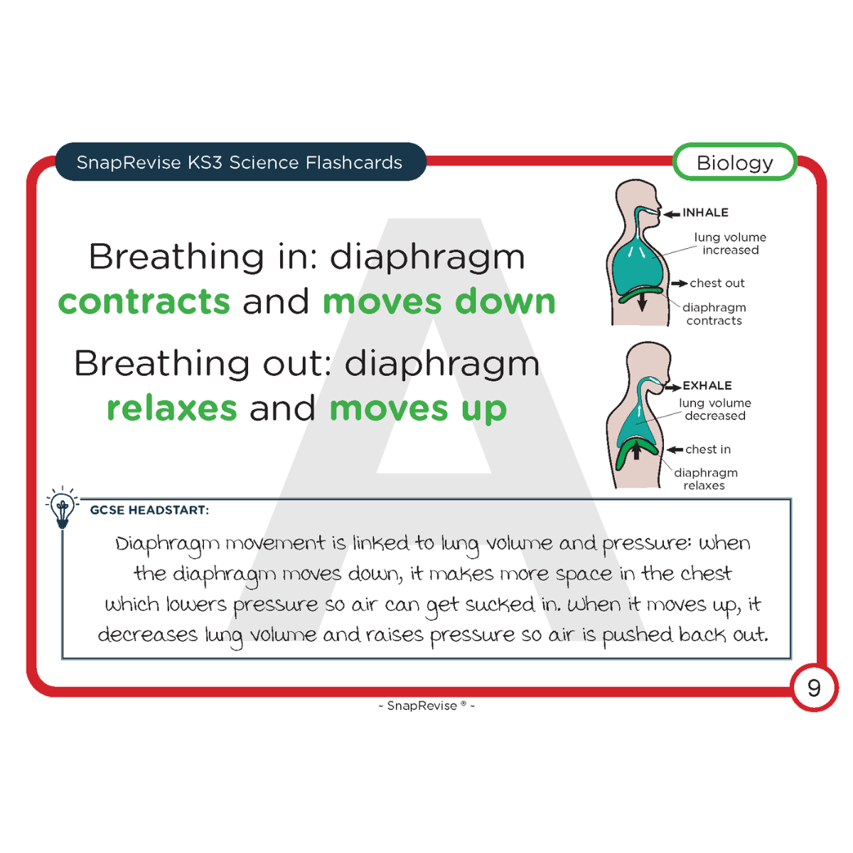KS3 Science Flashcards