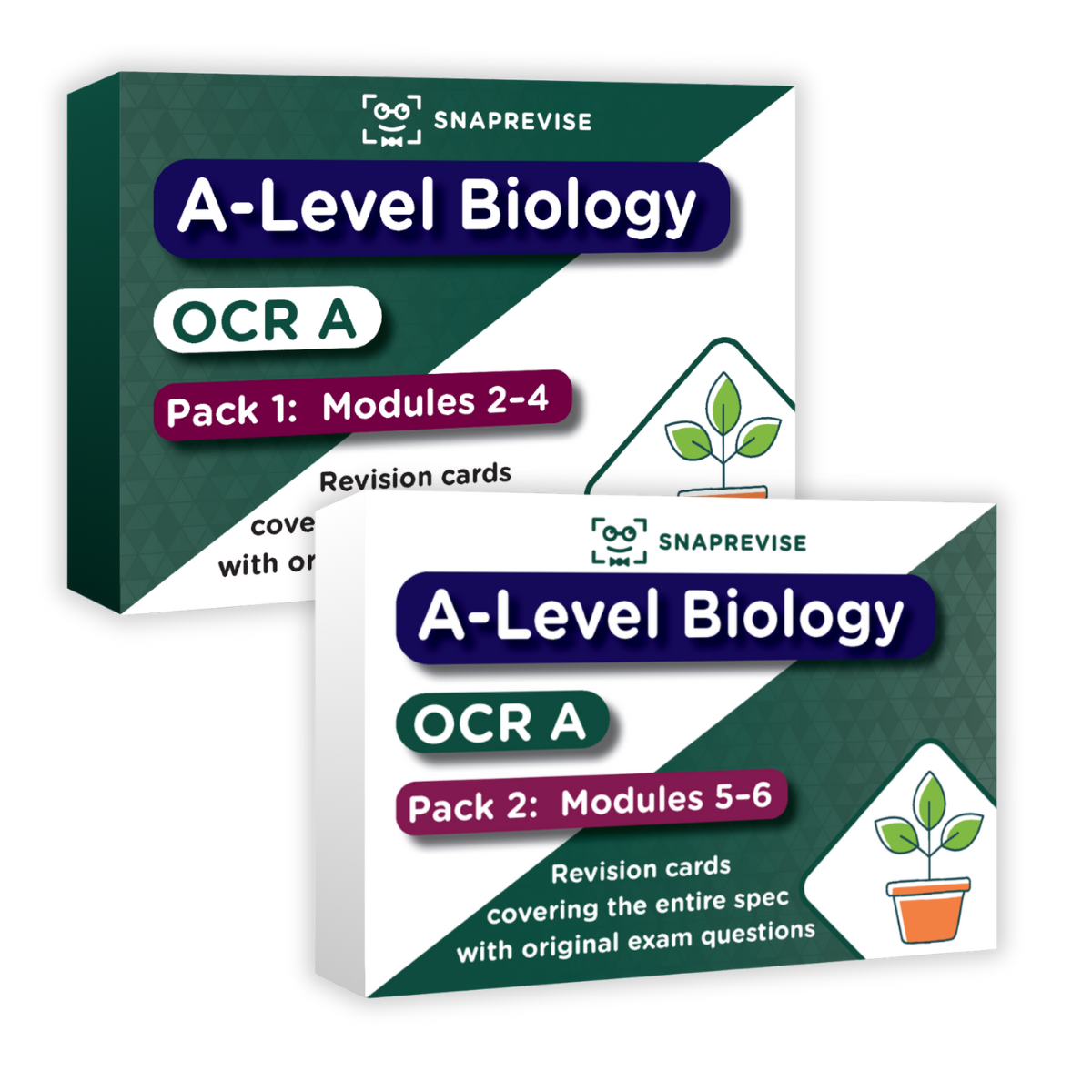 A-Level OCR Biology Complete Revision Card Bundle