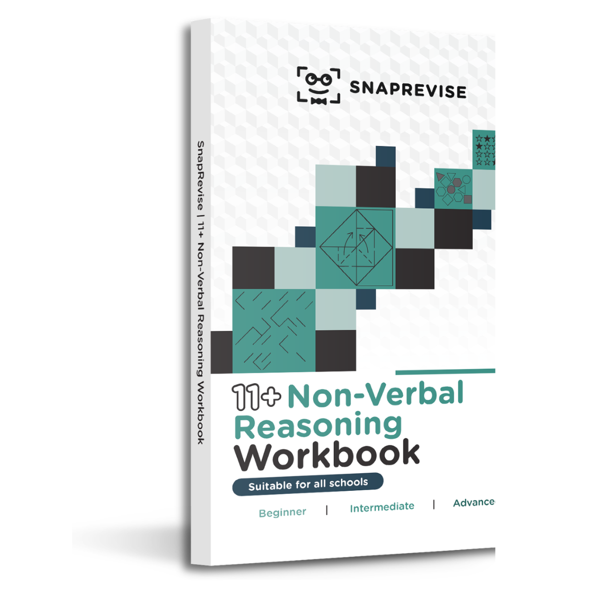 11+ Non-Verbal Reasoning Workbook