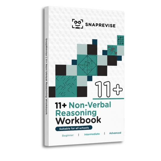 11+ Non-Verbal Reasoning Workbook