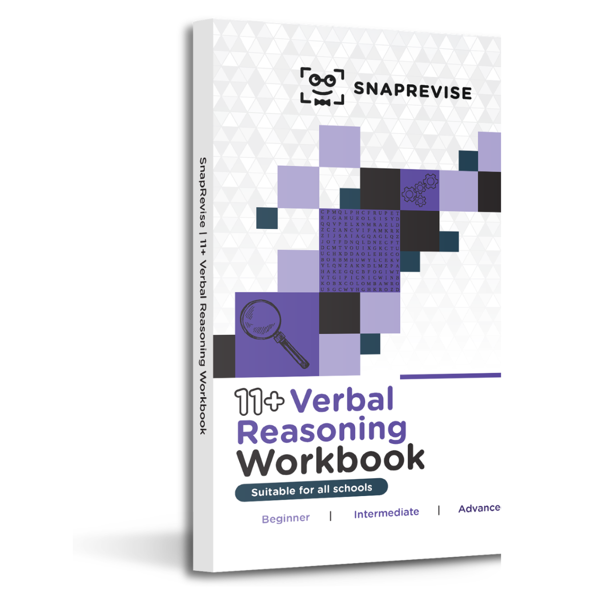11+ Verbal Reasoning Workbook