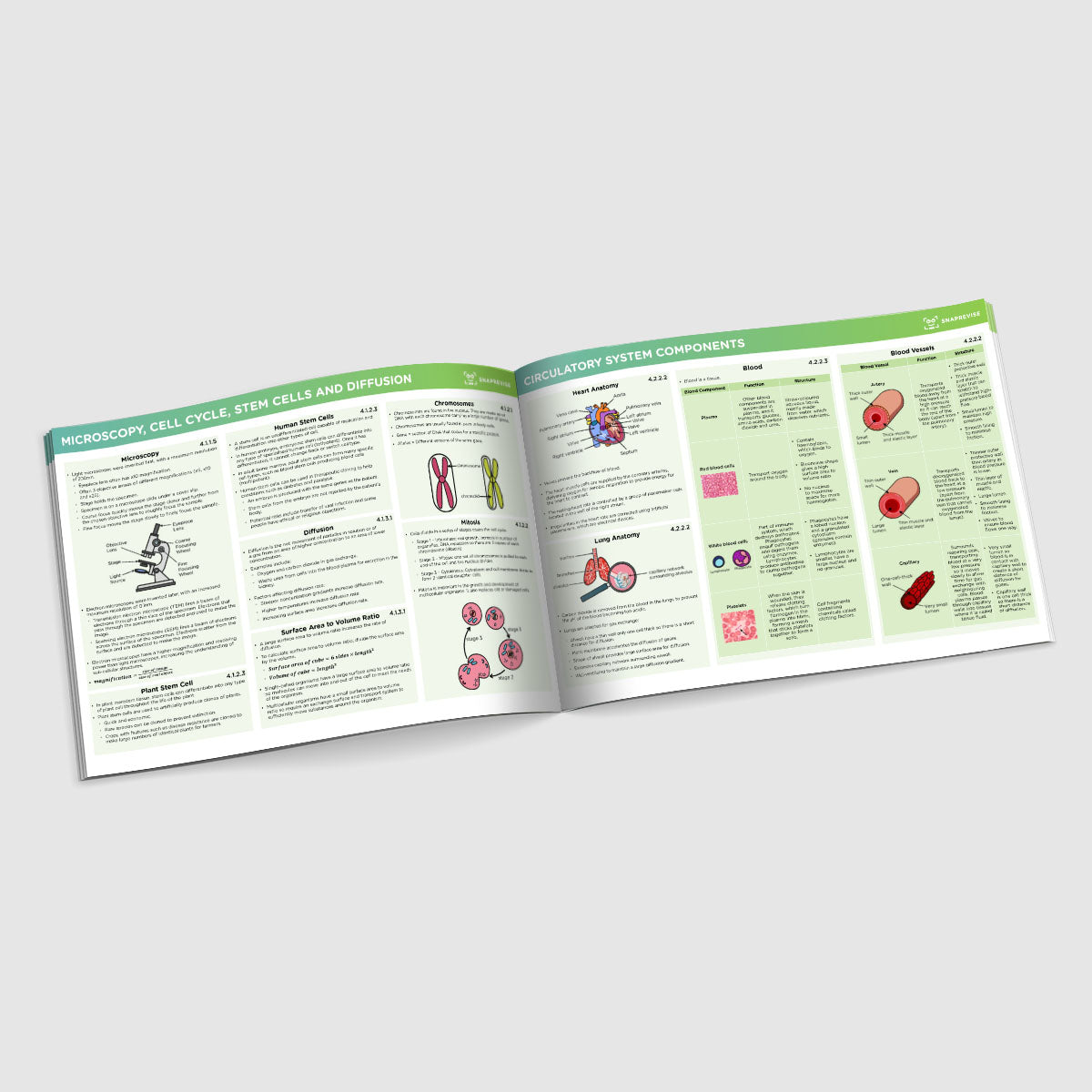 GCSE AQA Combined Science Summary Sheets Higher