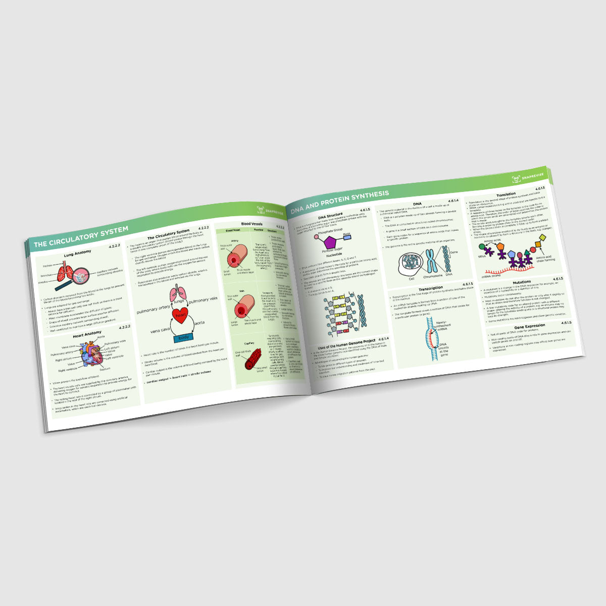 GCSE AQA Triple Science Biology Summary Sheets Higher