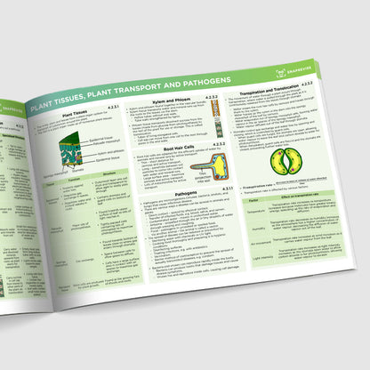 GCSE AQA Combined Science Biology Summary Sheets Foundation