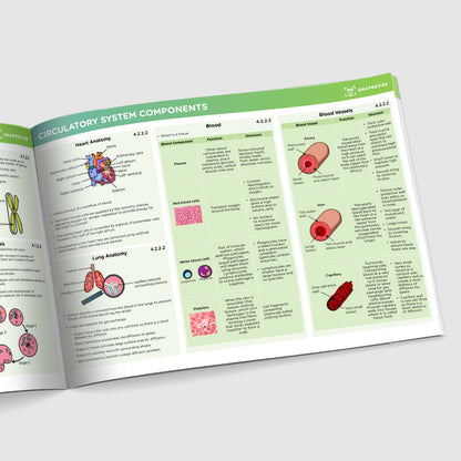 GCSE AQA Combined Science Biology Summary Sheets Higher