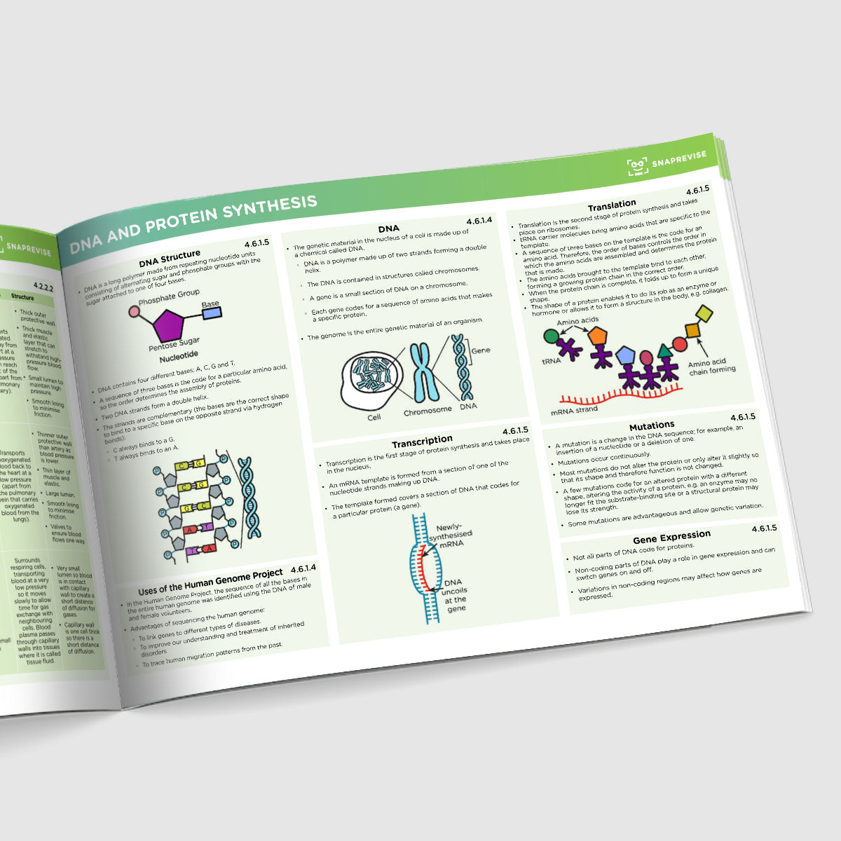 GCSE AQA Triple Science Summary Sheets Higher