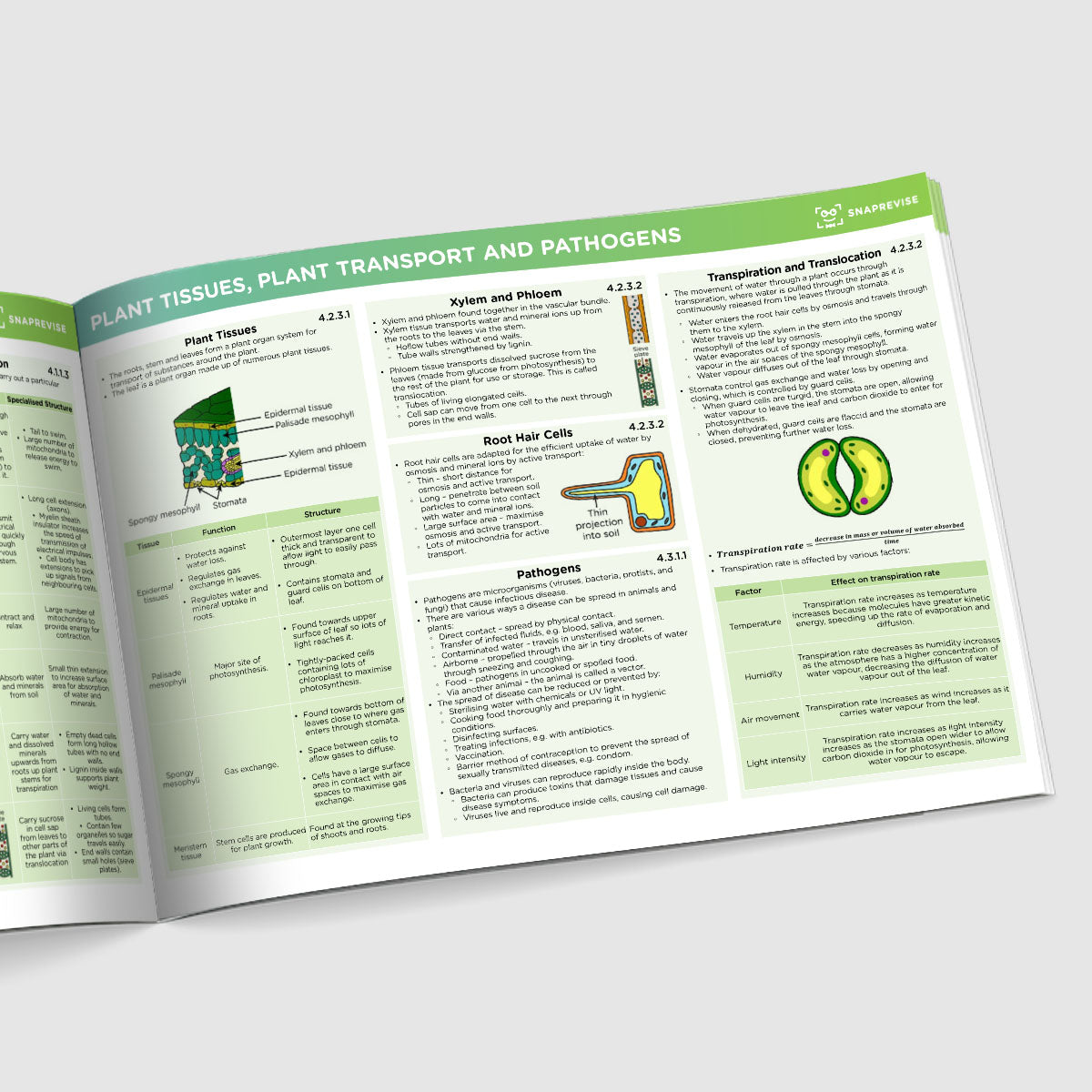 GCSE AQA Combined Science Summary Sheets Foundation