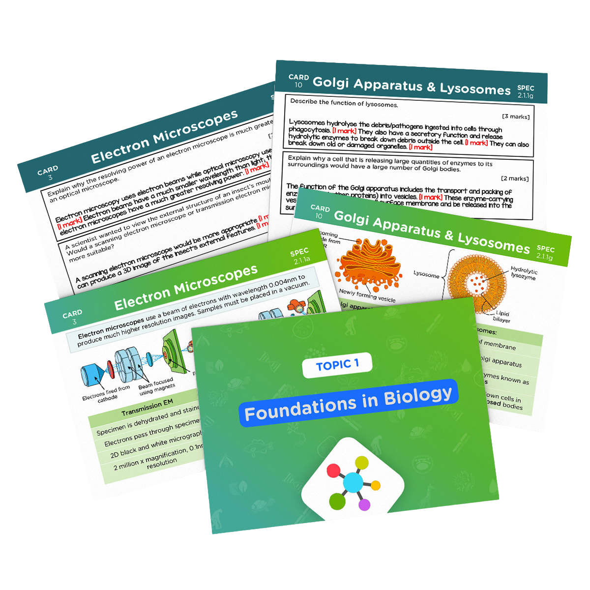 A-Level OCR Biology Ultimate Revision Bundle