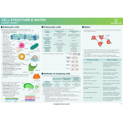 A-Level OCR Biology Ultimate Revision Bundle