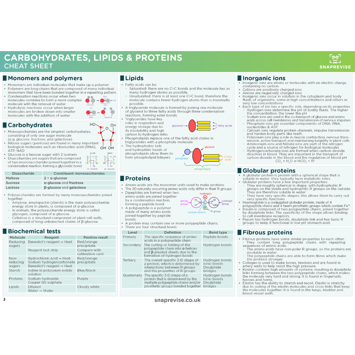 A-Level OCR Biology Ultimate Revision Bundle