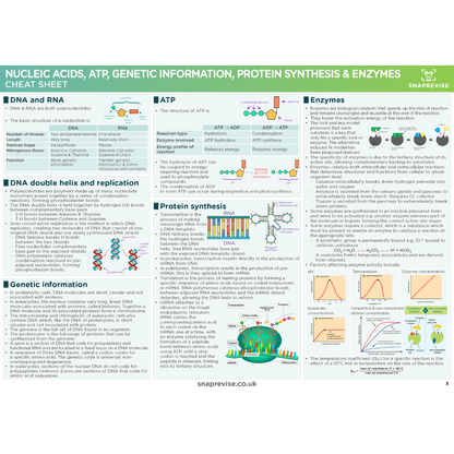 A-Level OCR Biology Ultimate Revision Bundle