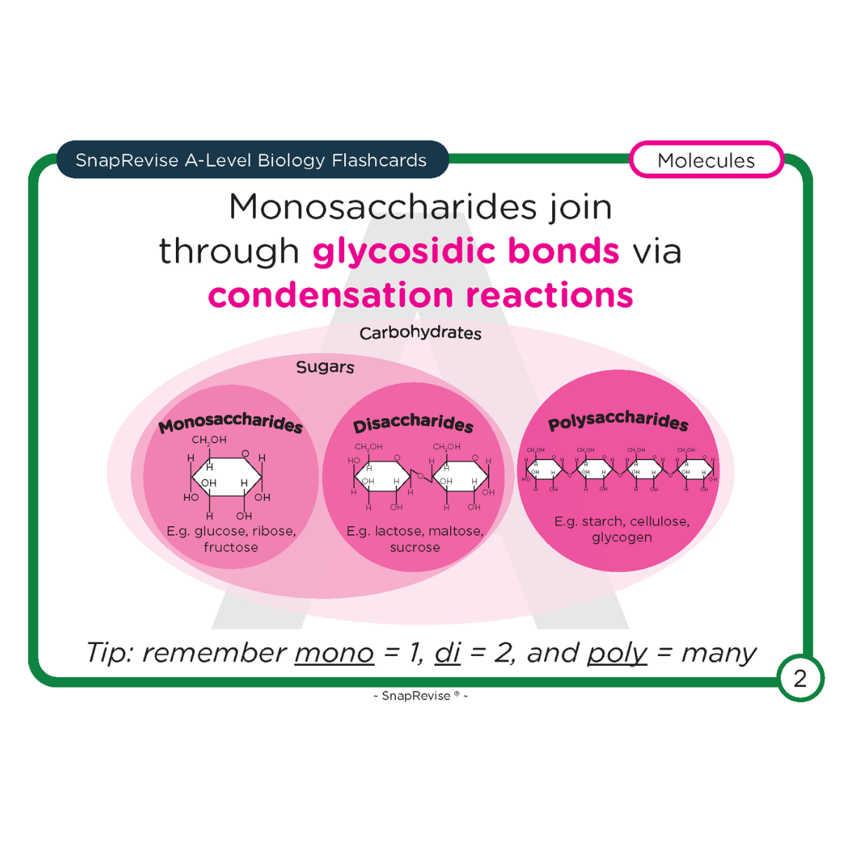 A-Level Biology Flashcards Pack 1 – SnapRevise