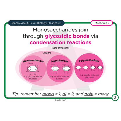 A-Level Biology Flashcards Pack 1