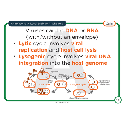 A-Level Biology Flashcards Pack 1