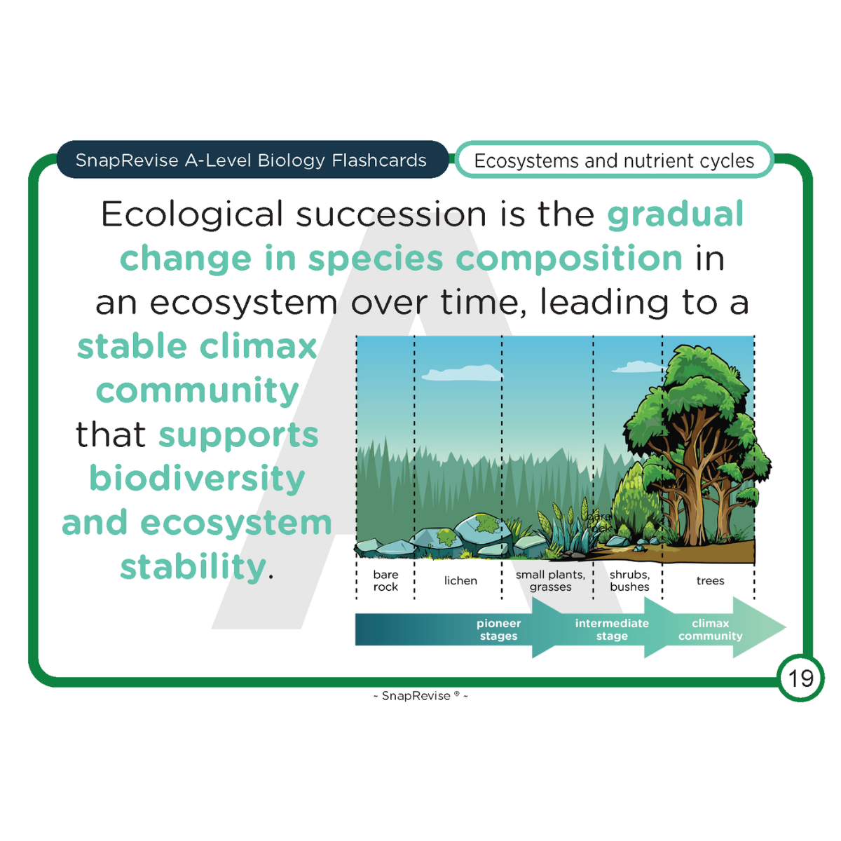 A-Level Biology Flashcards Pack 2