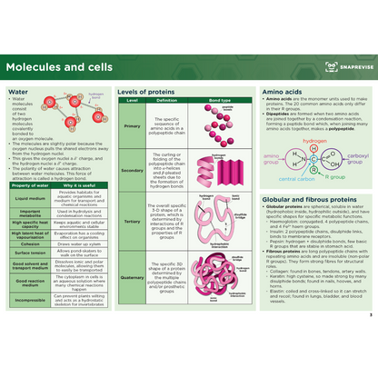 A-Level Biology Summary Notes