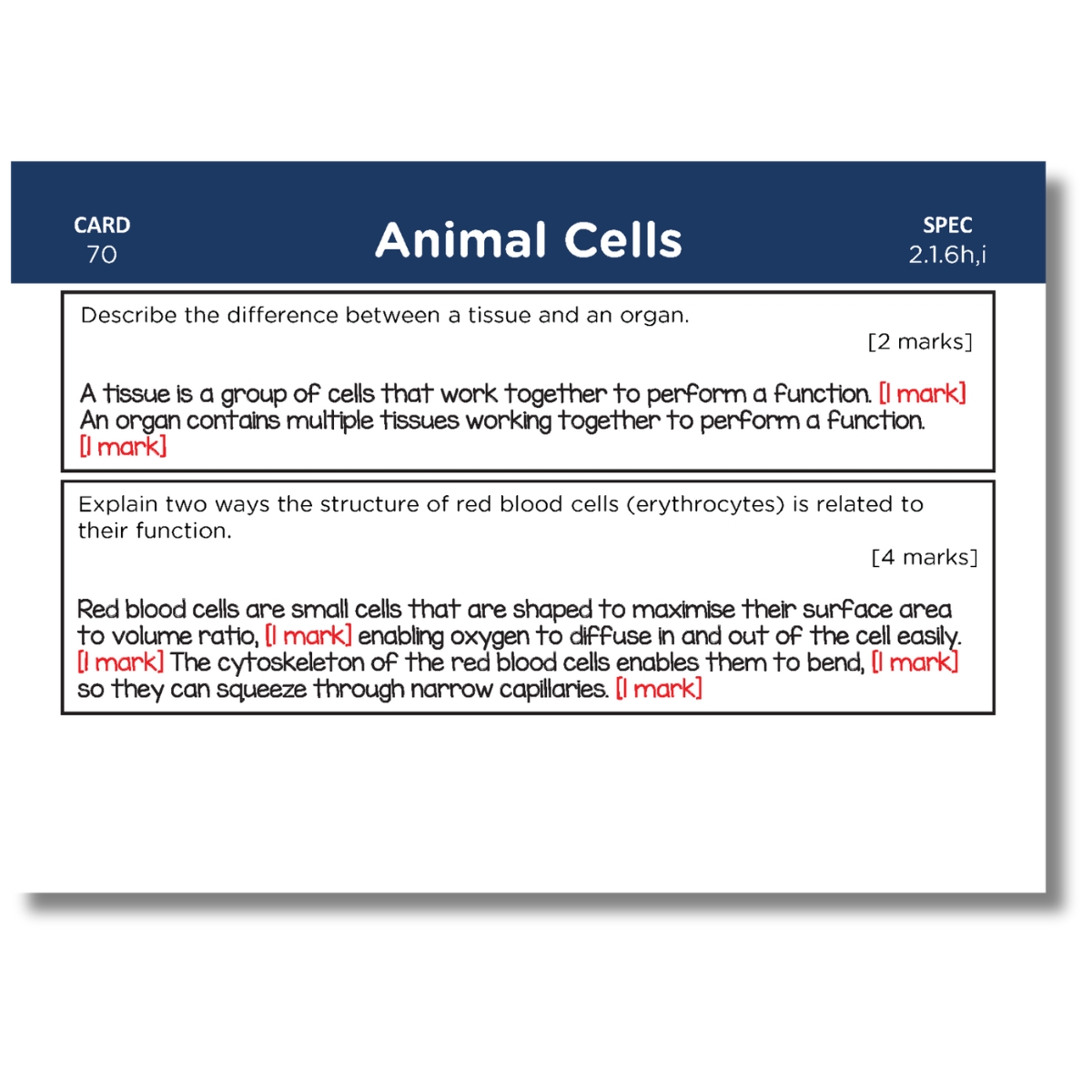 A-Level OCR Biology Revision Cards: Pack 1 of 2 (Modules 2-4)