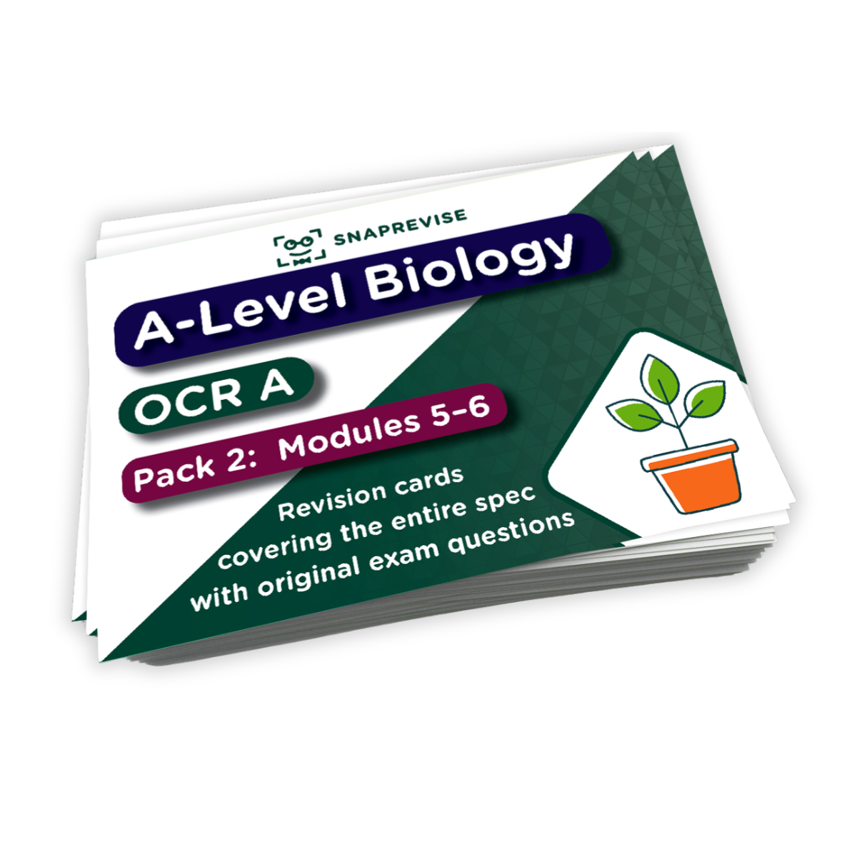 A-Level OCR Biology Complete Revision Card Bundle