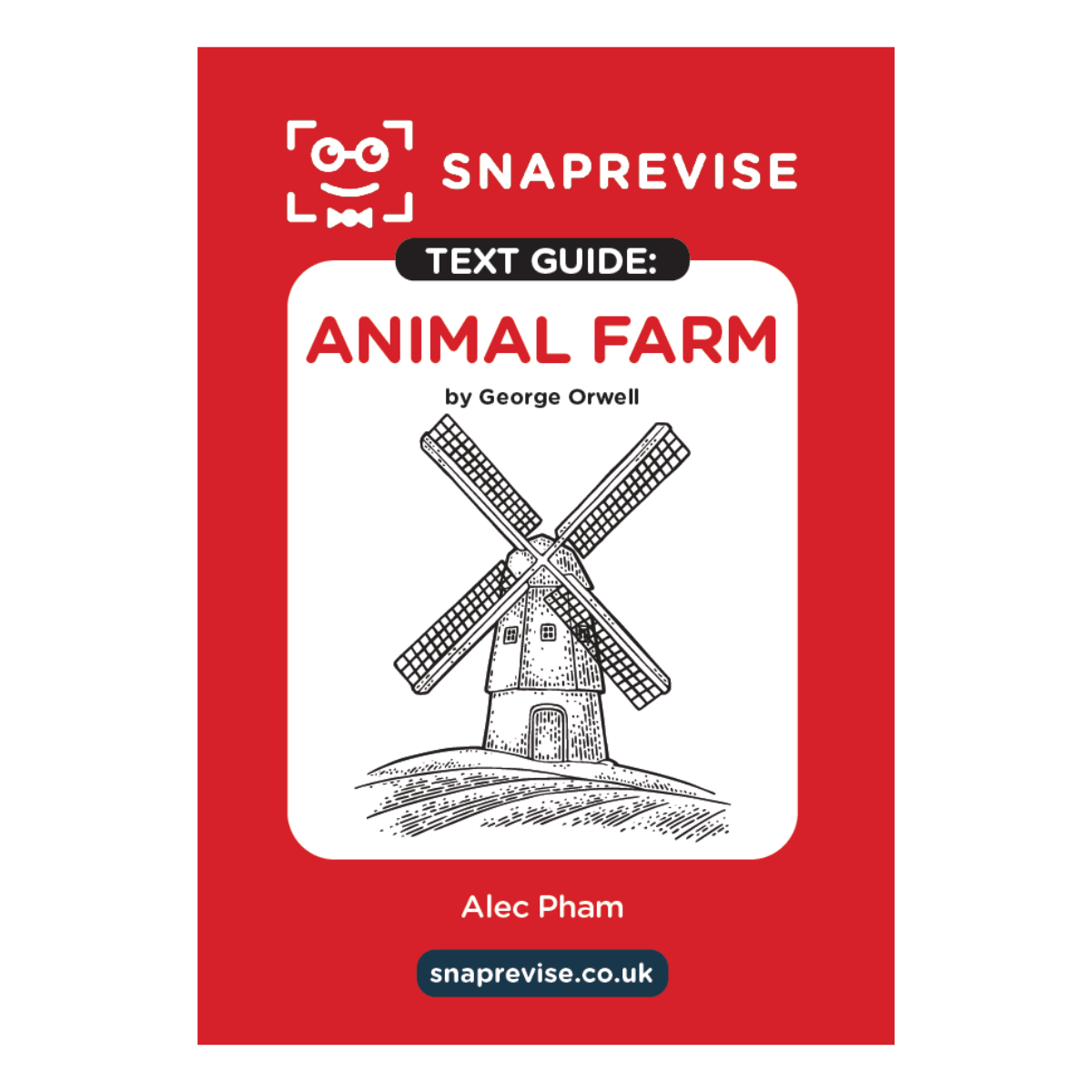 English Text Summary Guides – SnapRevise