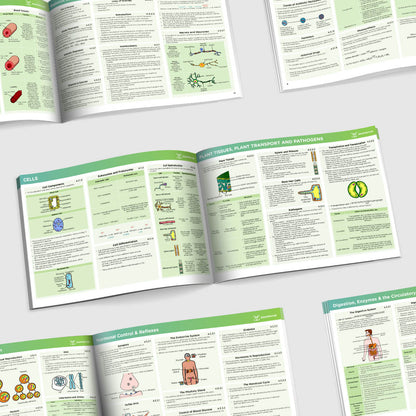 GCSE AQA Combined Science Biology Summary Sheets Foundation