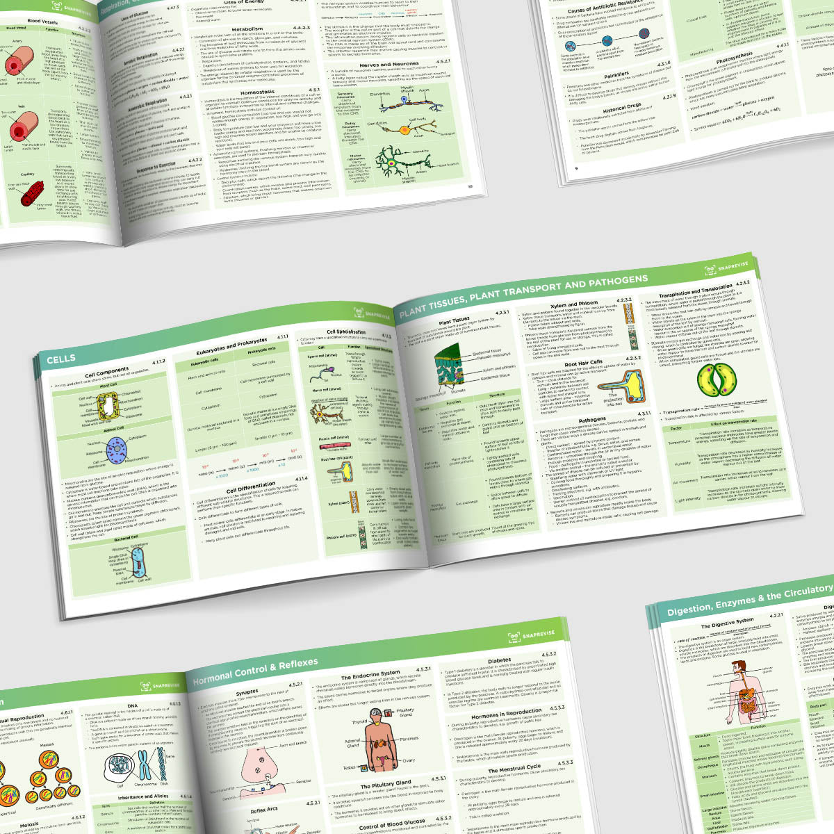 GCSE AQA Combined Science Summary Sheets Foundation