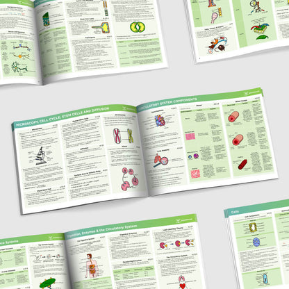 GCSE AQA Combined Science Biology Summary Sheets Higher