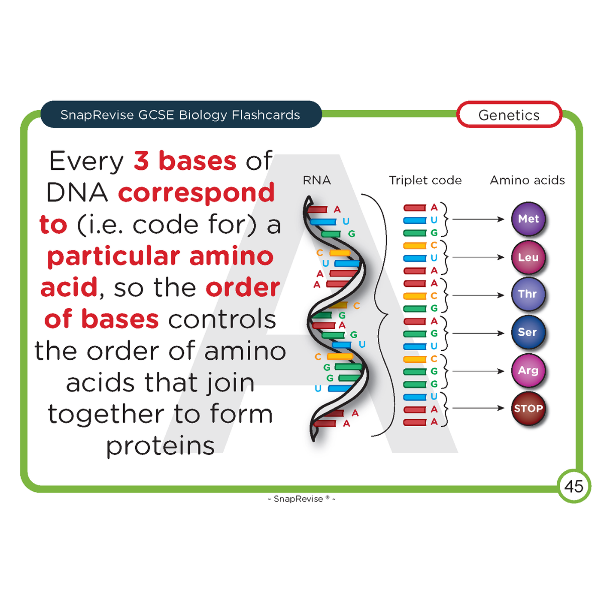 GCSE Biology Flashcards