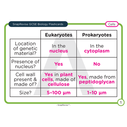 GCSE Biology Flashcards