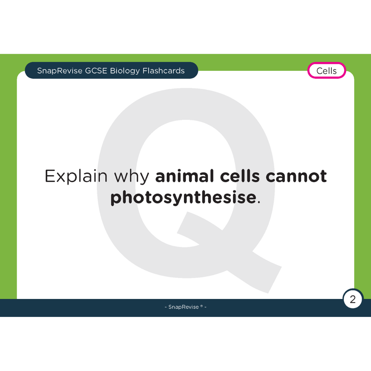 GCSE Biology Flashcards