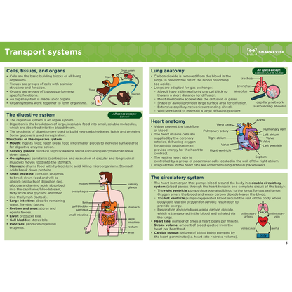 GCSE Biology Summary Notes