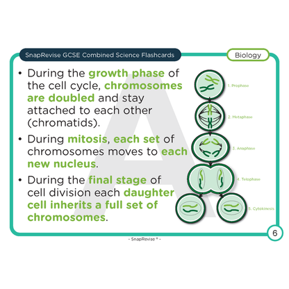 GCSE Combined Science Foundation Flashcards