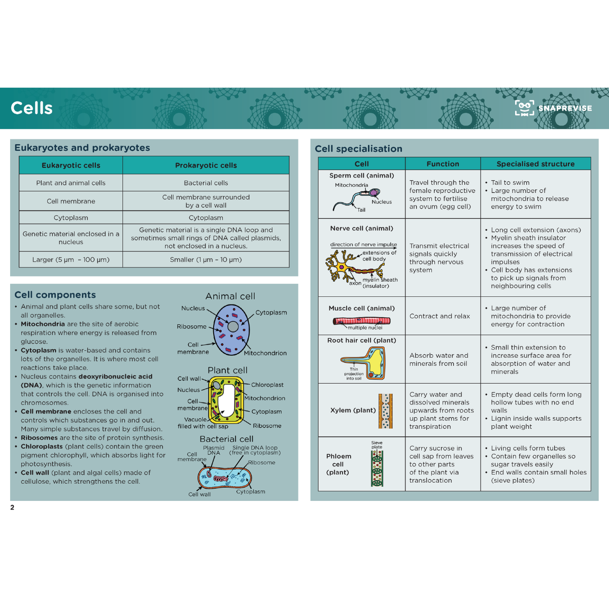 GCSE Combined Science Summary Notes – SnapRevise