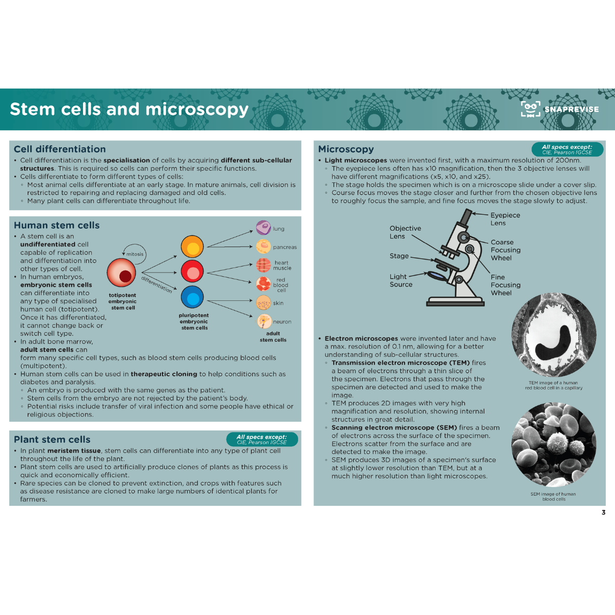 GCSE Combined Science Summary Notes