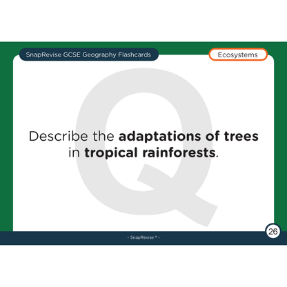 GCSE Geography Flashcards