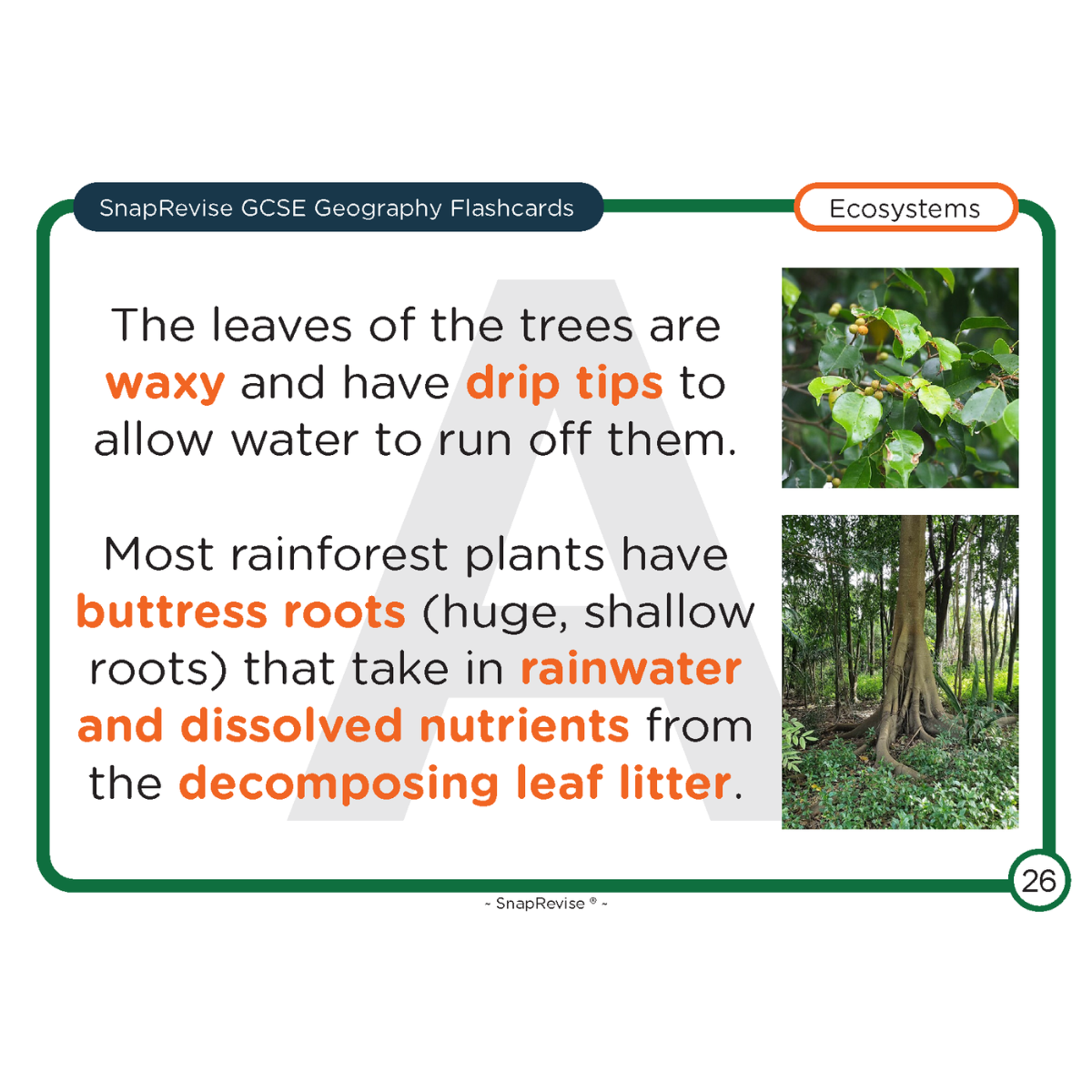 GCSE Geography Flashcards