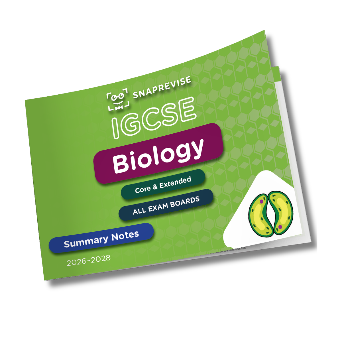IGCSE Biology Summary Notes