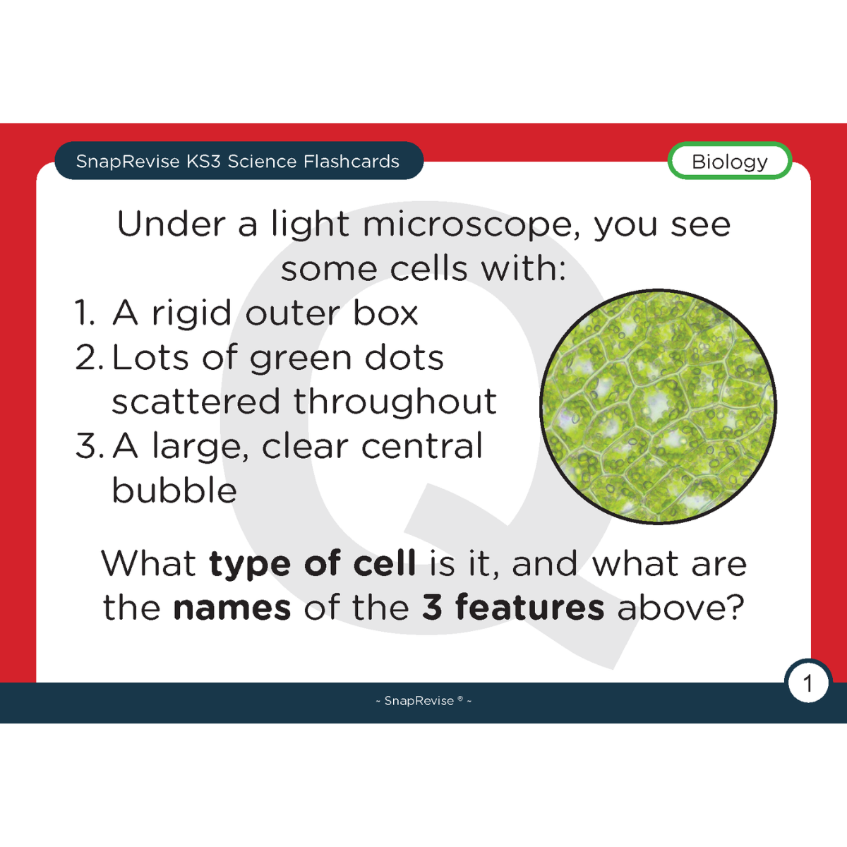 KS3 Science Flashcards